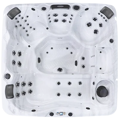 Avalon EC-867L hot tubs for sale in North Las Vegas